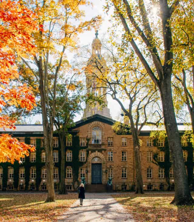 College Admissions Consultant