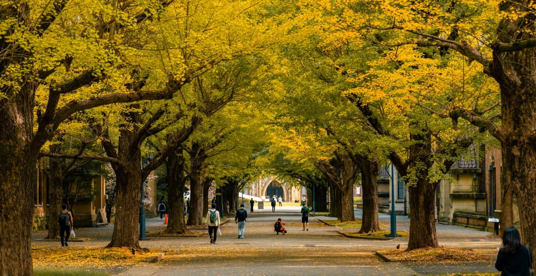 Performance Accountability